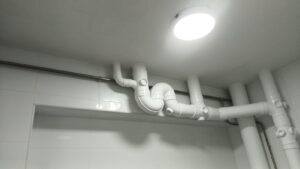 toilet peeling after (1)